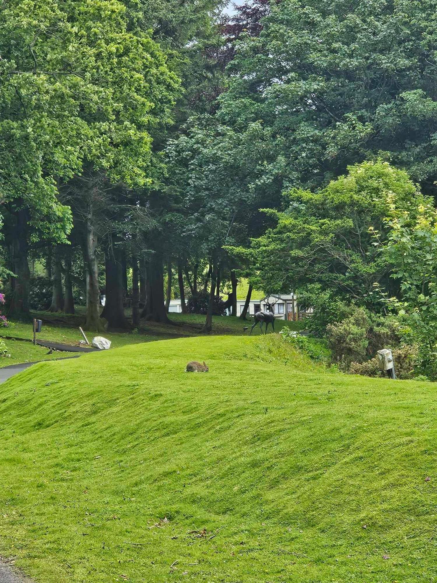 The Sunny Bunny Holiday Home Ballantrae Екстер'єр фото